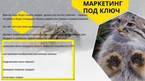 Презентация MANUL