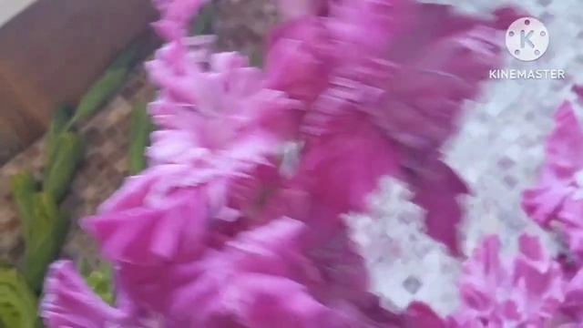 Гладиолусы для букета. Сорта в описании смотреть онлайн