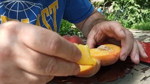 Персик Хароу Даймонд. Ред Робін.