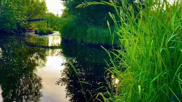 У реки, окрестности поселка Черемша, Асбест, Средний У?