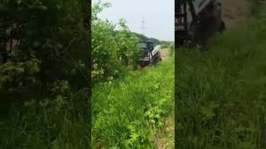 video5330228901677398705