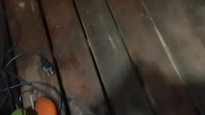СОЧИ ГОРНОЕ ЛОО УТРО 10.09.2025