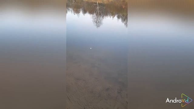 Осенняя удача или нет удачи у дачи. Рыба не клюёт и ана? смотреть онлайн