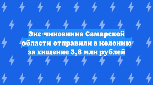 Экс-чиновника Самарской области отправили в колонию за хищение 3,8 млн рублей