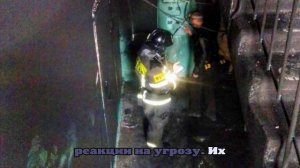 В Кургане из горящей многоэтажки пожарные спасли четырех человек