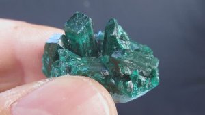 Диоптаз купить