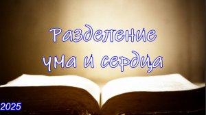 Разделение ума и сердца | Игорь Желтобрюх