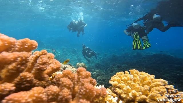 Погружение Хургада 2025 смотреть онлайн