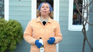 Гортензия крупнолистная: правильный уход, обрезка и п?