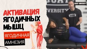Активация ягодичных мышц. Ягодичная амнезия