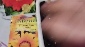 Гацания. Посев.