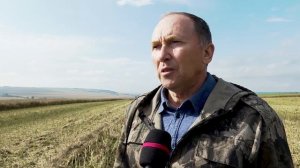 В Заинске хороший урожай рапса, отметил специалист Айнур Уразманов