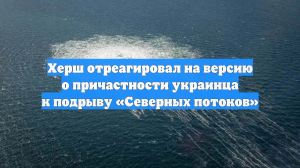 Херш отреагировал на версию о причастности украинца к подрыву «Северных потоков»