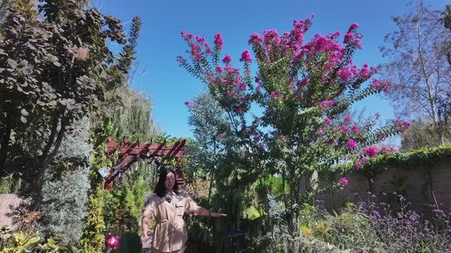 Сентябрь в южном саду! ОБЗОР САДА ! НЕВЕРОЯТНАЯ ДИНАМИКА РОСТА! смотреть онлайн