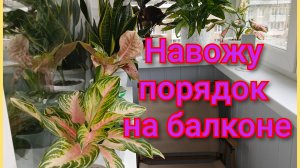 Наводим порядок на балконе/Работы много/Задумала идею воплощаю в реальностьYouCut_20250904_115814577
