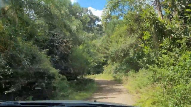 № 15. Домой через джунгли! Как выглядит деревня в Брази? смотреть онлайн