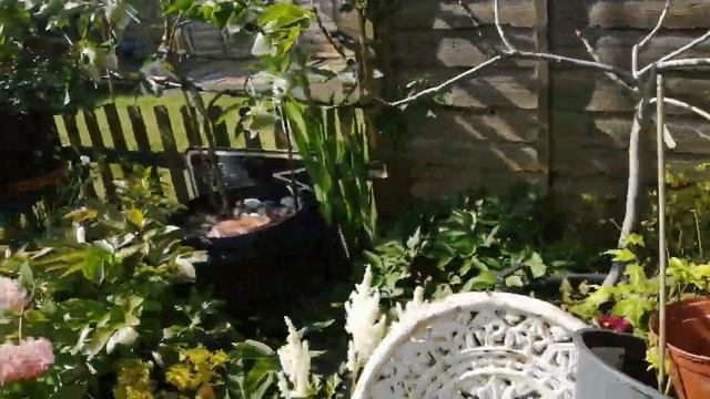 ЧТО ЦВЕТЁТ В ИЮЛЕ смотреть онлайн