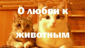 Наследуют ли животные рай?