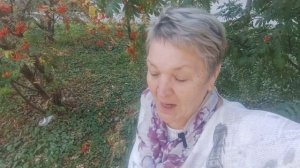 🤦🤭😂,куча мала: пальчик,врач,чеснок с грибами.