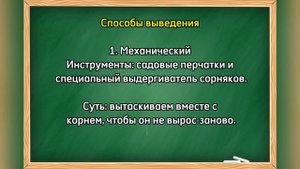 КАК быстро и НАВСЕГДА вывести портулак с огорода? Рабо