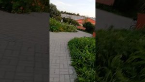 Поход в магазин.