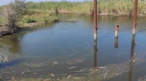 20210816 Astrakhan Vova -rybak)