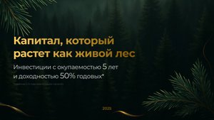 Кедры России | Инвестиции в живой лес | Как из 1 биткойна сделать миллиард | Василий Маньжов