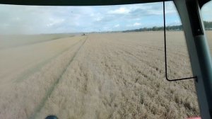 Потери (часть 2)мое личное мнение и размышление..