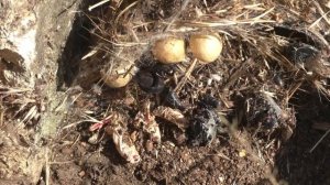 Встречи в летней степи