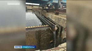 Источник загрязнения реки Кума ищут на Ставрополье