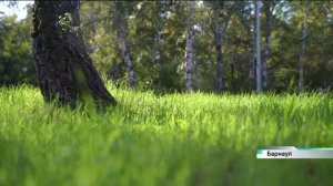 Барнаульский парк «Юбилейный» занял первое место в конкурсе благоустройства общественных территорий