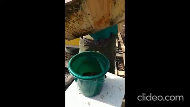 Чистка доньев после зимовки. смотреть онлайн