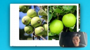 ФРУКТЫ И ОВОЩИ СКАМ / КАК ВЫГЛЯДЕЛИ ФРУКТЫ ОВОЩИ ДО ГМО