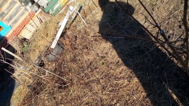 Сад весной - ЗАПОМИНАЕМ! Обработка. Пролив. Оценка посл смотреть онлайн