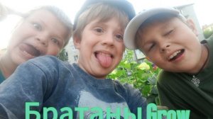 братаны Grow
Brothers Grow
трек