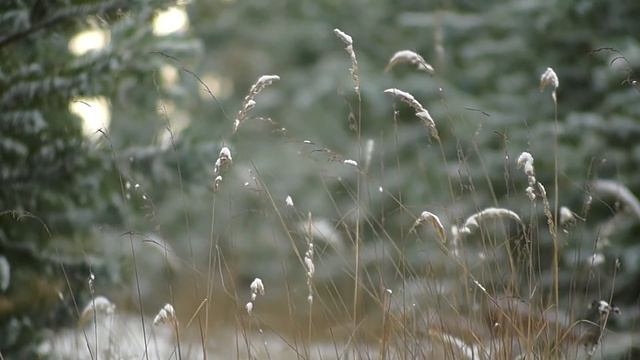 Рафаиль Занединов - Прощальная песня, мелодекламация