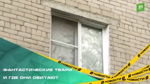 В челябинском доме годами не могут закрыть наркопритон