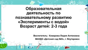 Образовательная деятельность по познавательному развития детей 2-3 лет