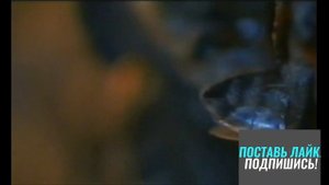 Пчеловодство в Англии: Традиции и Современные вызовы,?