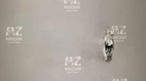 IMG_3589 Шархан 10.09.2025