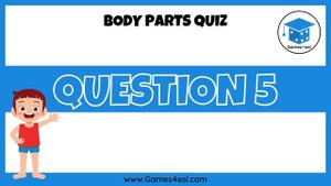 Body Parts Vocabulary And Quiz