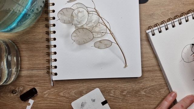 Tutorial how to draw Lunaria plant. Как нарисовать акварелью растение смотреть онлайн