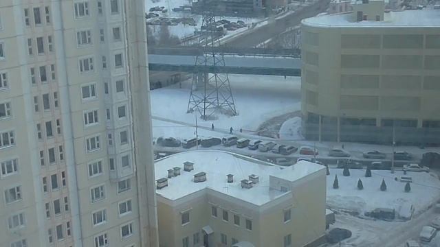 ДУБ САЖАТЬ, СМЕРТЕЛЬНО ОПАСНО! смотреть онлайн