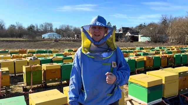 Продажа пчелопакетов, продажа пчеломаток , продажа пч? смотреть онлайн