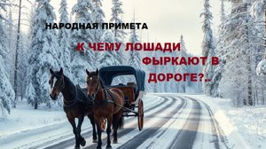 Народная примета. К ЧЕМУ ЛОШАДИ ФЫРКАЮТ В ДОРОГЕ?..