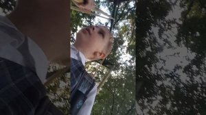 Я иду домой