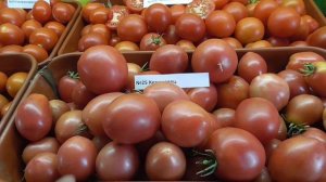 ТОМАТ "КЕМЕРОВЕЦ". №25. ДЕГУСТАЦИЯ. Ольга Чернова.