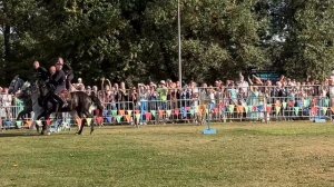 Фестиваль Казачья станица Москва 2024 | джигитовка | Кол?