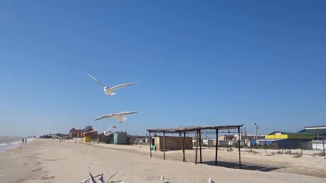 Азовское Море. Федотова Коса. Кирилловка. | Sea of Azov. Fedotov смотреть онлайн