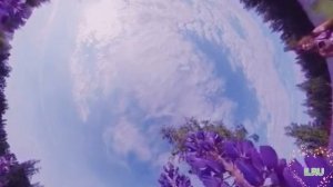 Истории из жизни "Необычная месть за предательство" Жизненные истории / Читаем рассказы / слушать ис